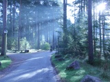 Tn IMG 1421